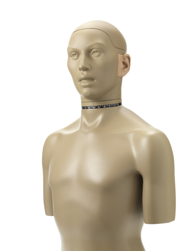 45BB_UpperTorso_Left_TransBG_WithoutShadow_HiRes
